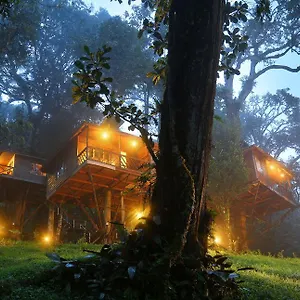 Nature Zone Jungle Resort